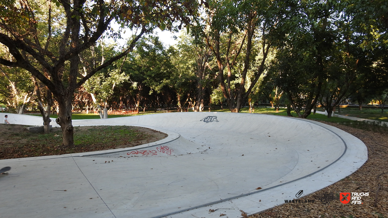 São Pedro do Sul skatepark